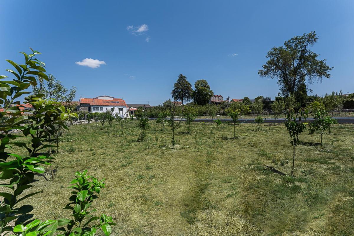 Villa Sevenfarm Mangualde Esterno foto